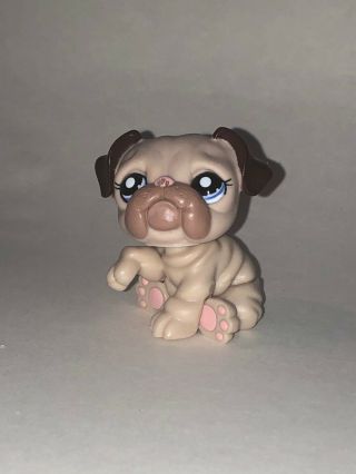 Littlest Pet Shop Dog Bulldog Tan Brown 1765 Authentic Lps