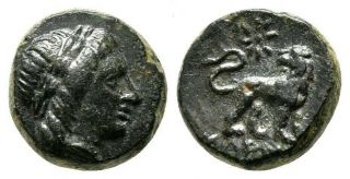 Ionia.  Miletos 350 - 325 Bc.  Apollo/ Lion.  Ancient Greek Coin