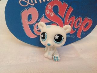 Littlest Pet Shop Lps 647 White Polar Bear With Blue Flowers And Eyes Pet Pair