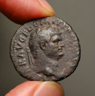 Z - 511 Domitian.  As Caesar,  Ad 69 - 81.  Æ As