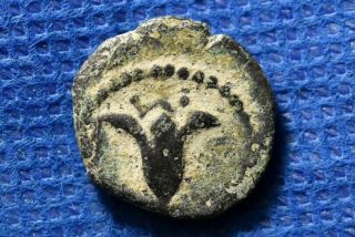 Judaea John Hyrcanus I 134 - 104bc.  Antiochos Vii Jerusalem Judea Lily Prutah Coin