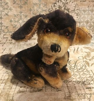 Vintage 1950’s Steiff Mohair Dachshund Beppo Stuffed Dog Jointed Button Ear Tag