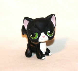Littlest Pet Shop Lps Black Angora Cat 55 Green Eyes White Kitty Tuxedo (an05)