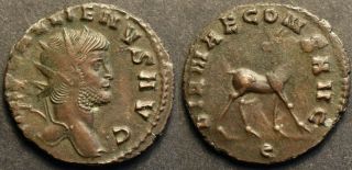 Roman Empire.  Gallienus Ae Antoninianus / Stag
