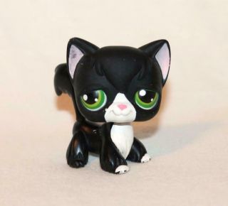 Littlest Pet Shop Lps Black Angora Cat 55 Green Eyes White Kitty Tuxedo (an07)