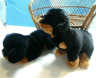 Rottweiler Dogs Fao Schwarz & Ganz Plush Stuffed Animal Toy Puppy 12 "