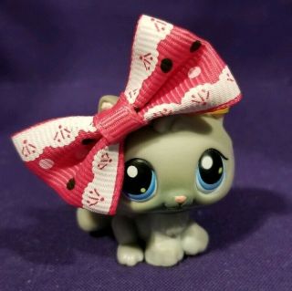 Littlest Pet Shop 66 Kitty Cat Kitten Gray Big Blue Eyes Red Magnet Blemished