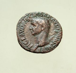Claudius (41 - 54),  As,  Rome,  Ad 50 - 54,  Ae30mm 11gr.  Minerva Spear Shield