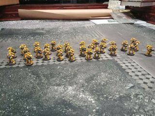 Warhammer 40k Imperial Fists Space Marine Tactical Squads X3
