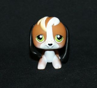 Littlest Pet Shop Lps Black Brown White Beagle 113 Green Eyes Dog Freckled Tan