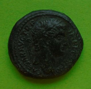 Ancient Roman Caesar Augustus Octavian As Bronze Ae Rome