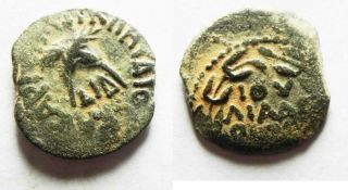 Zurqieh - As14246 - Judaea.  Roman Procurators.  Antonius Felix (ad 52 - 59) Æ Prutah