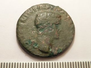 5893 Ancient Roman Tiberius Copper As Coin,  1st Century Bc - 1st Century Ad R -