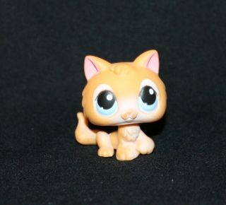 Littlest Pet Shop Lps Orange Kitten 47 Blue Eyes Rare Cat Kitty Tail Yellow