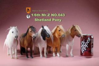 Mr.  Z Mrz043 1/6 Uk Shetland Pony Horse Mini Horses Animal Statue Figure Model