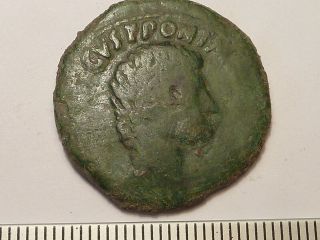 5005 Ancient Roman Augustus Copper As Coin - 1st Century Bc
