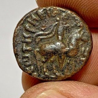 Ancient Indo Greek Bronze Coin Tetradrachm Soter I 8.  1gr 20.  9mm