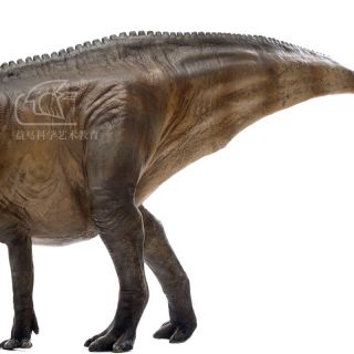PNSO Shantungosaurus Dinosaur Model scientific art Hadrosaurus 15  Figure Box 2