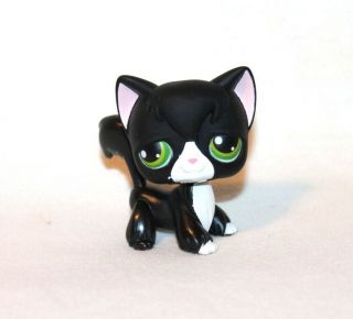 Littlest Pet Shop Lps Black Angora Cat 55 Green Eyes White Kitty Tuxedo (an06)
