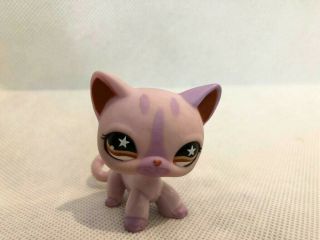 933 Light Purple Short Hair Cat Littlest Pet Shop Hasbro Authentic Star Eyes