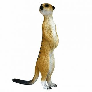 Platts My Little Zoo Meerkat Total Length Of About 75mm Painted Animal Figures M