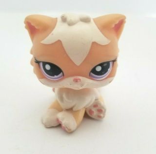 Littlest Pet Shop Lps 1657 Peach Cream White Persian Kitty Cat Pink Purple Eyes