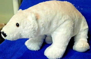 Kohls Eric Carle Polar Bear Plush Stuffed Animal Toy