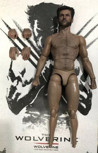Hot Toys Mms220 The Wolverine X - Men 1/6 Scale Body W/ Head W/ Hands