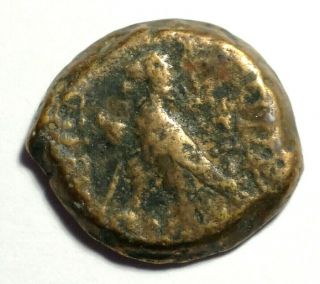 Ancient Greek Coin - Antiochos Viii,  Epiphanes,  Eagle,  121 - 96bc 17mm