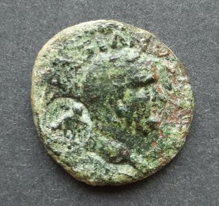 Roman Provincial Coins.  Pergamon,  Vespasian (69 - 79)