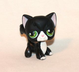 Littlest Pet Shop Lps Black Angora Cat 55 Green Eyes White Kitty Tuxedo (an03)