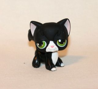 Littlest Pet Shop Lps Black Angora Cat 55 Green Eyes White Kitty Tuxedo (an02)