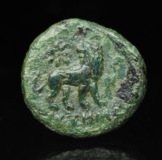 Ionia,  Miletos.  313 - 290 Bc.  Bust Of Apollo / Lion Right