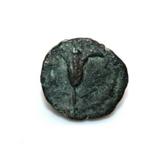 Judaea Lily John Hyrcanus I 134 - 104bc.  Antiochos Vii Jerusalem Judea Prutah Coin
