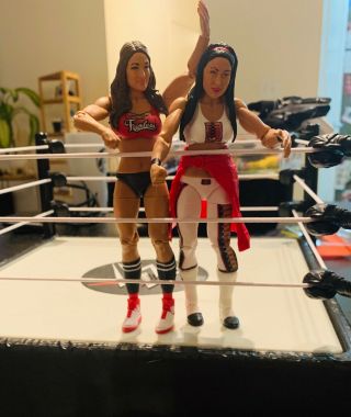 Brie Nikki Bella Twins Wwe Mattel Wrestling Action Figures Loose Tag - Team Divas