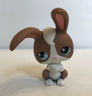 Littlest Pet Shop Bunny Rabbit Brown And White Hasbro Toy 121