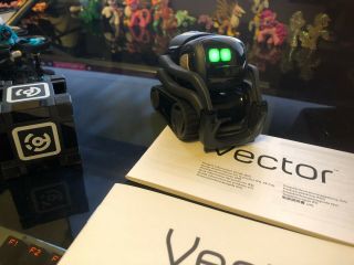 Vector Home Companion Robot