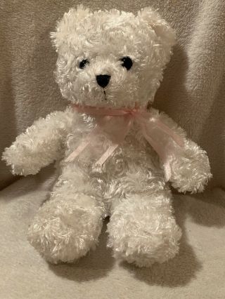 Dan Dee Plush Bear 12 " Stuffed Animal Teddy Collector 