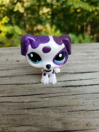 Littlest Pet Shop Lps Puppy Dog 2136 Purple White Glitter Dalmation Blue Eyes