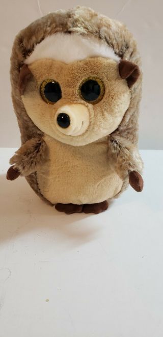 Ty Classic " Ida " The Hedgehog 9.  5 " Plush Stuffed Animal Cute Pre - Owned No Tag
