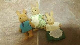 Calico Critters Bunny Rabbit Set Of 3