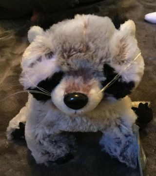 Ganz Webkinz Raccoon Plush Gray White 9” Sitting Stuffed Wild Animal Soft Toy