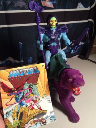 Vintage Motu Skeletor And Panther Complete W/mini Comic He Man