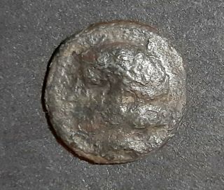 Ancient Greek Coins.  Thrace,  Apollonia Pontica Iv Cent Bc.