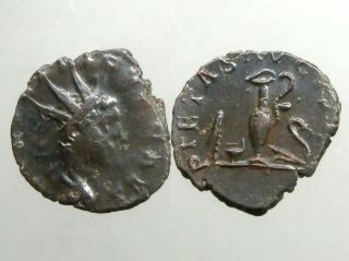 Tetricus Ii Ae / Bl Antoninianus_gallic Empire Of Rome_put On Display In Rome