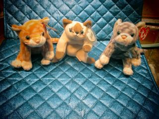 Ki,  Set Of 3 Ty °cats° Beanie Babys: " Amber " / " Snip " / " Silver " W/all Tags