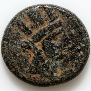 Ancient Greek Coin Antioch Ad Orontem,  Syria,  Semi - Autonomous,  Ae18.  65 - 66 Ad