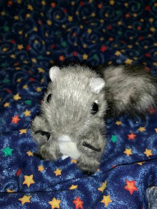 Folkmanis 4 " Mini Gray Squirrel Finger Puppet Plush Stuffed Animal Toy