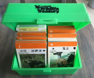 Illustrated Wildlife Treasury W/ Learning Animal Cards Green Box Carrying Case