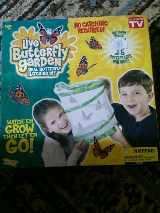 Insect Lore Butterfly Growing Kit Toy